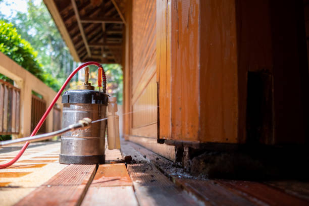 Pest Control Cost in Mckees Rocks, PA