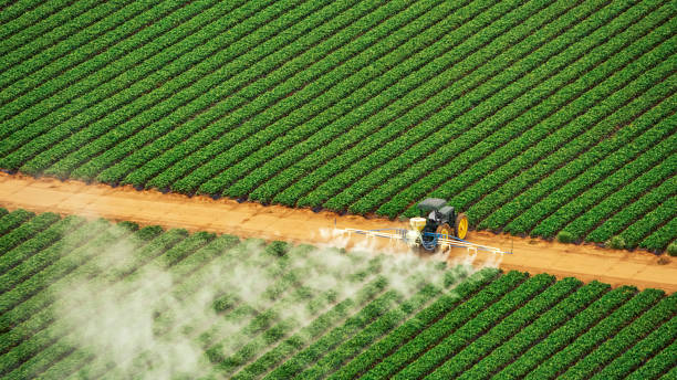 Best Pest Removal Services  in Mckees Rocks, PA