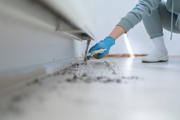Best Insect Control  in Mckees Rocks, PA