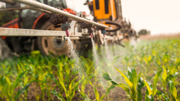 Best Ant Control Services  in Mckees Rocks, PA